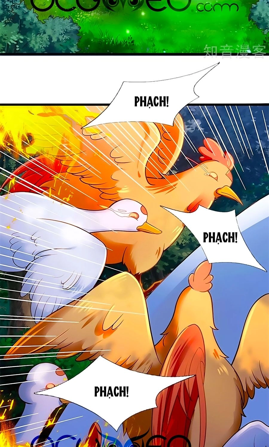 Bỗng Một Ngày Trở Thành Con Gái Nhà Vua Chapter 242 - 31