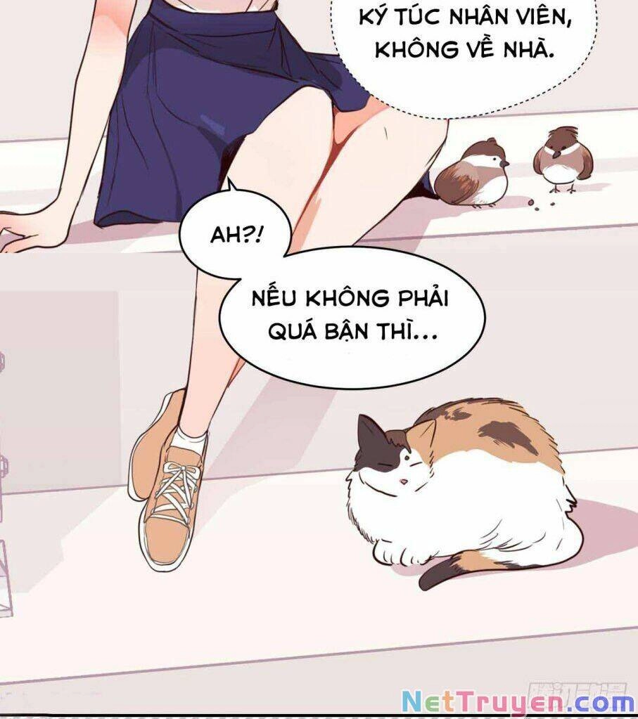 Acup Tiên Sinh Chapter 20 - 17